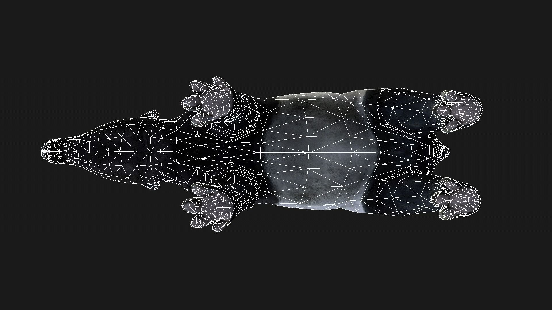 Low poly Malayan Tapir Low-poly 3D model_7