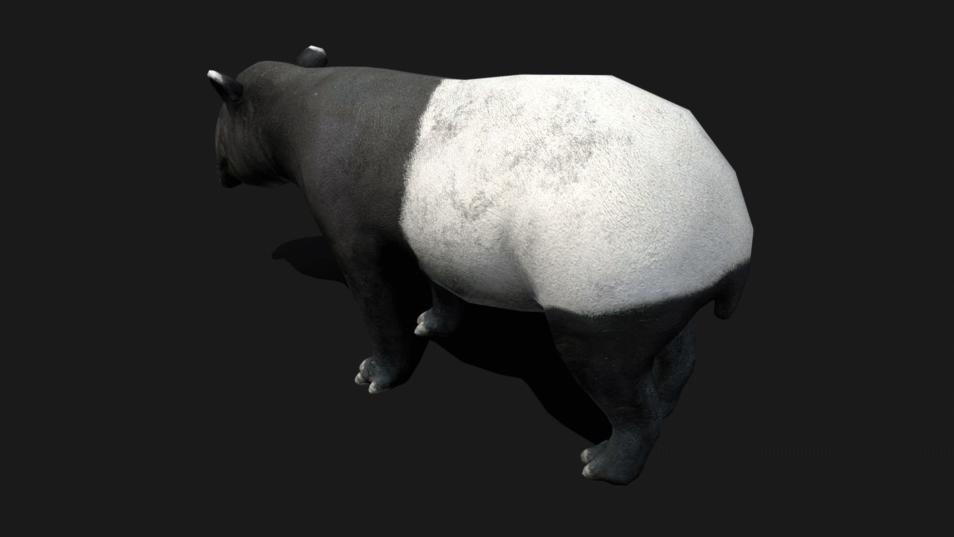Low poly Malayan Tapir Low-poly 3D model_4