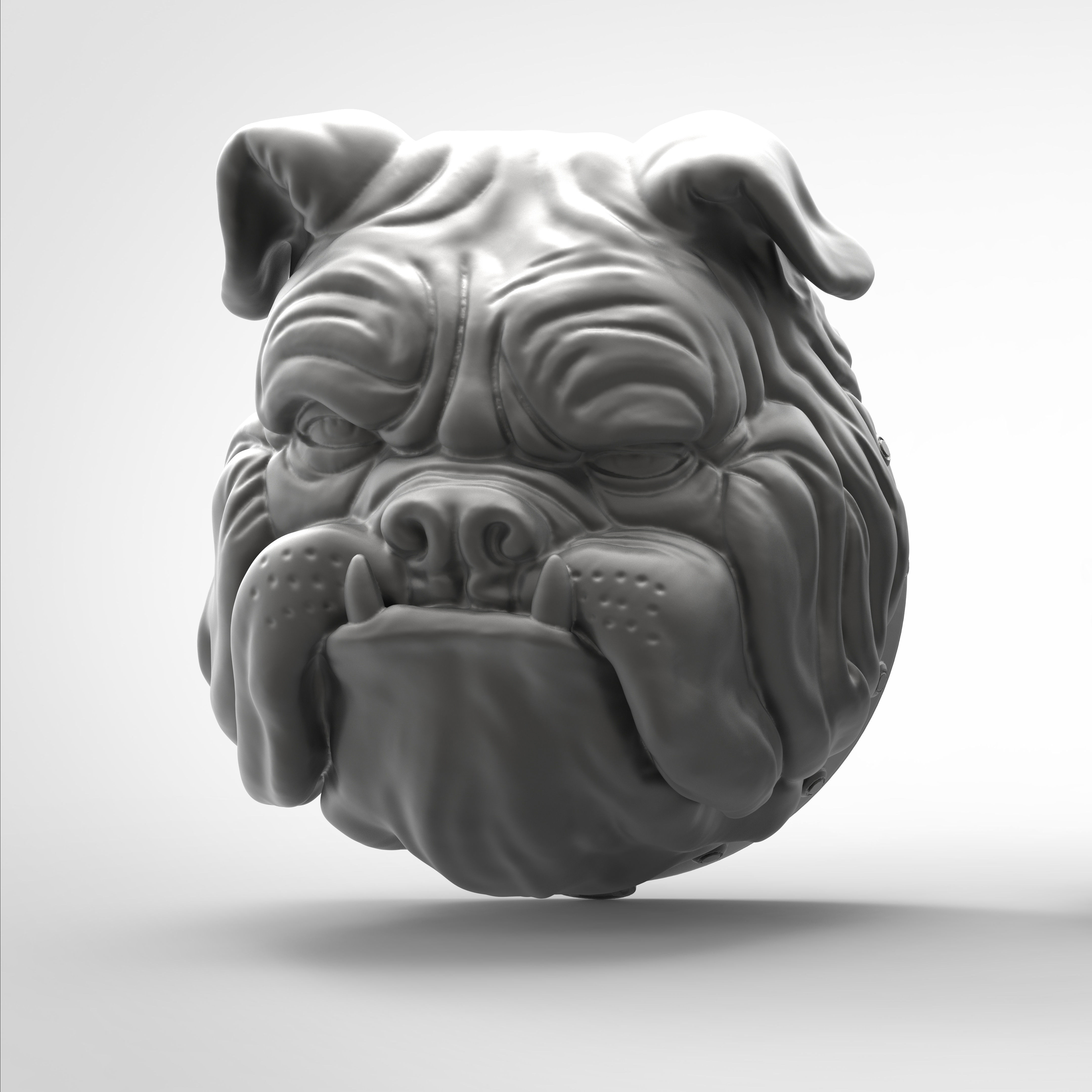 BUST BULL DOG 3D print model_3