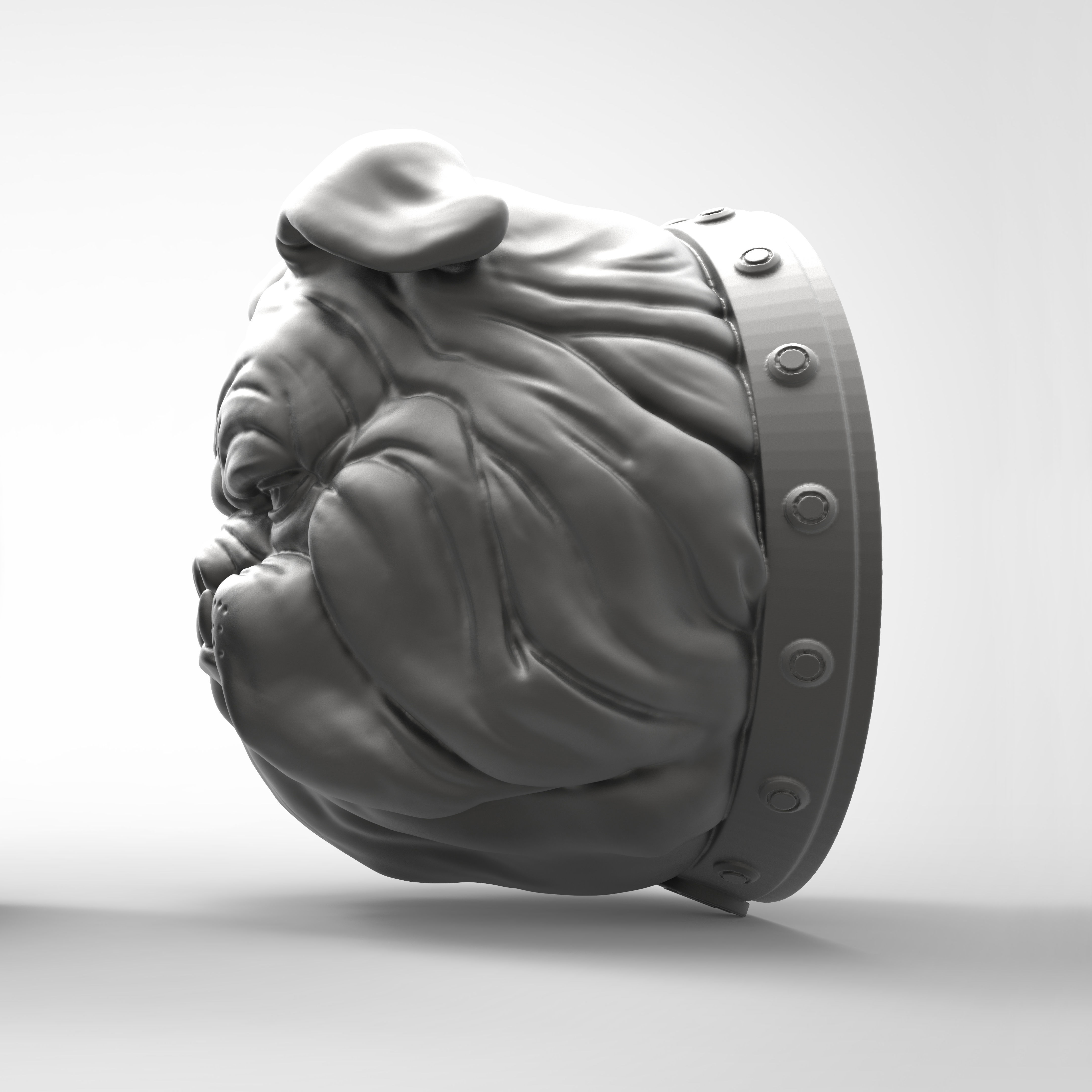 BUST BULL DOG 3D print model_4