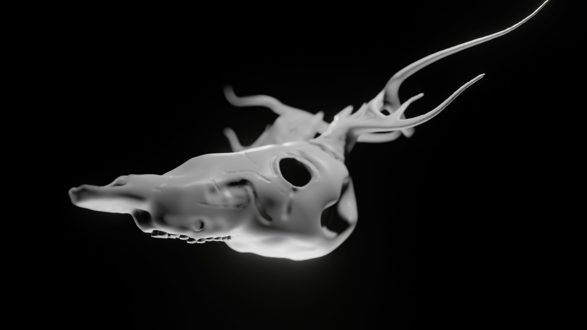 Skull Wendigo - Deer 3D model_7