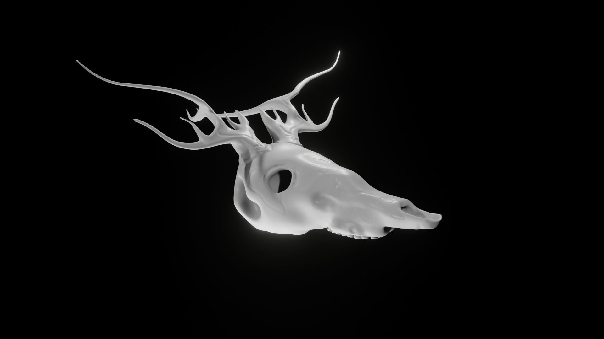 Skull Wendigo - Deer 3D model_4