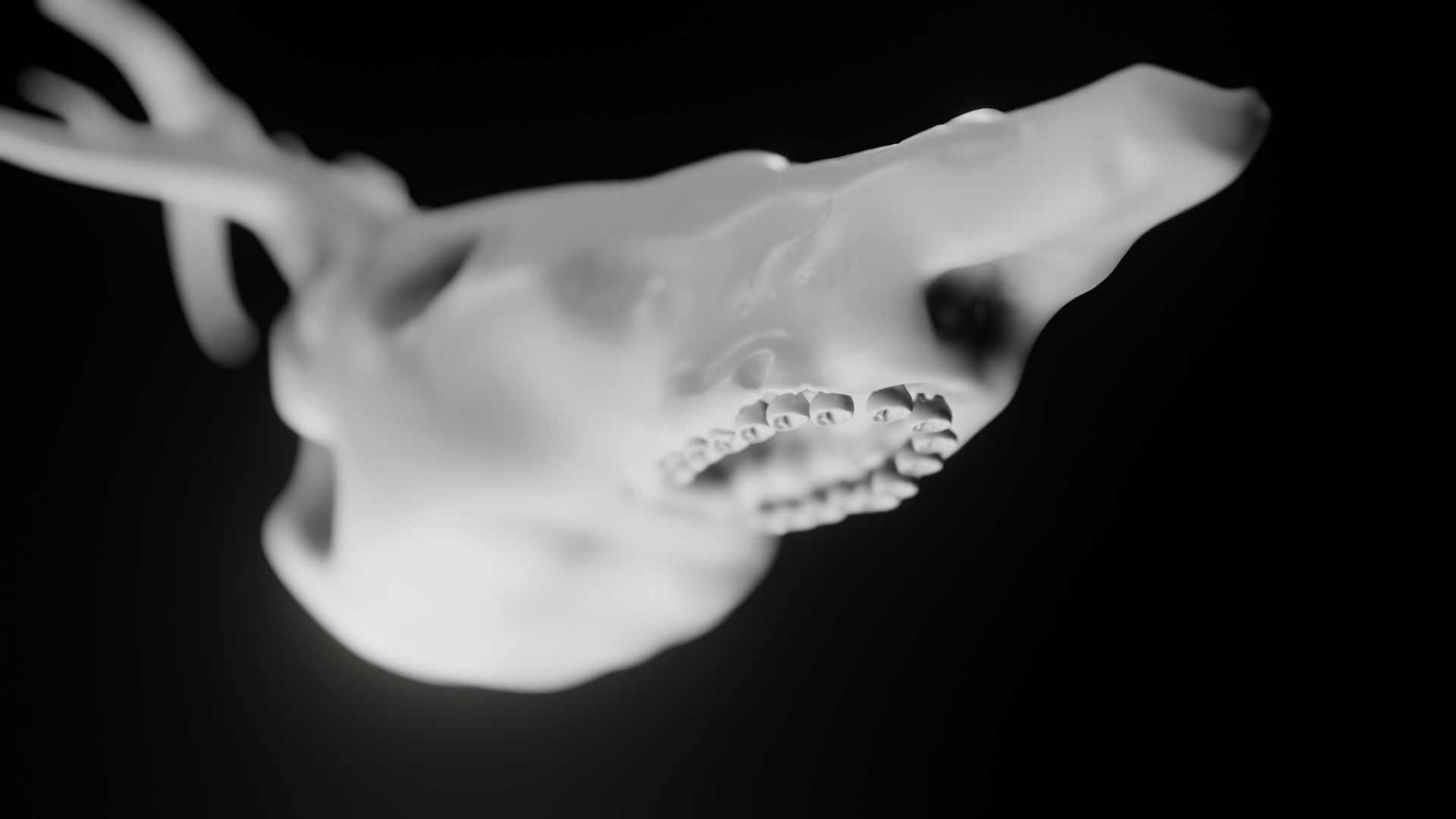 Skull Wendigo - Deer 3D model_6