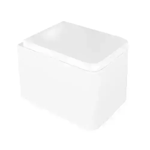 White Acrylic Rectangular Toilet Bowl