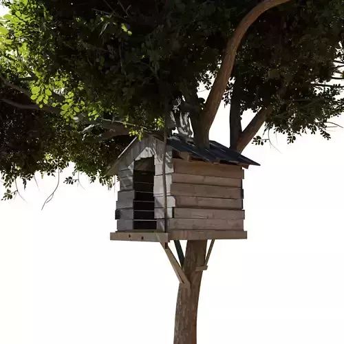 treehouse wooden dog house Texture