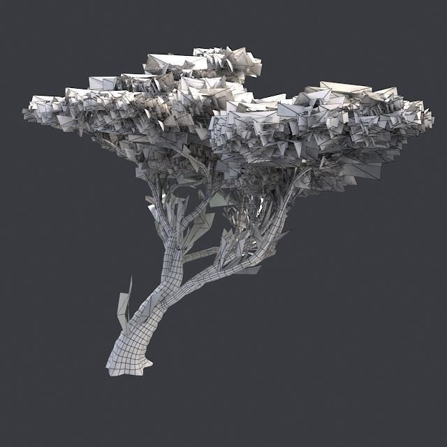 Acacia - Chinese Banyan Tree Bundle Low-poly 3D model_7