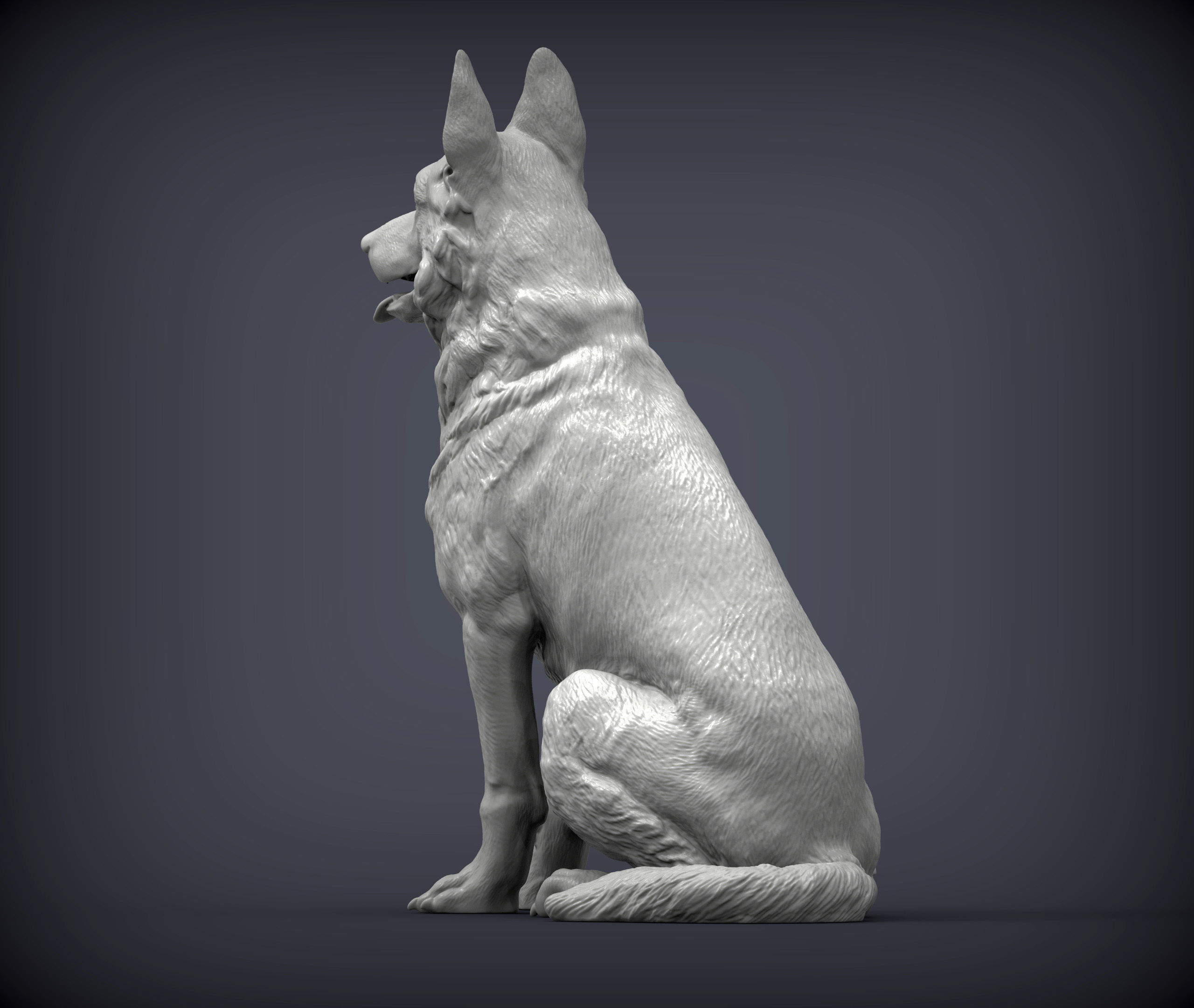 German Shepherd 3D print model_2