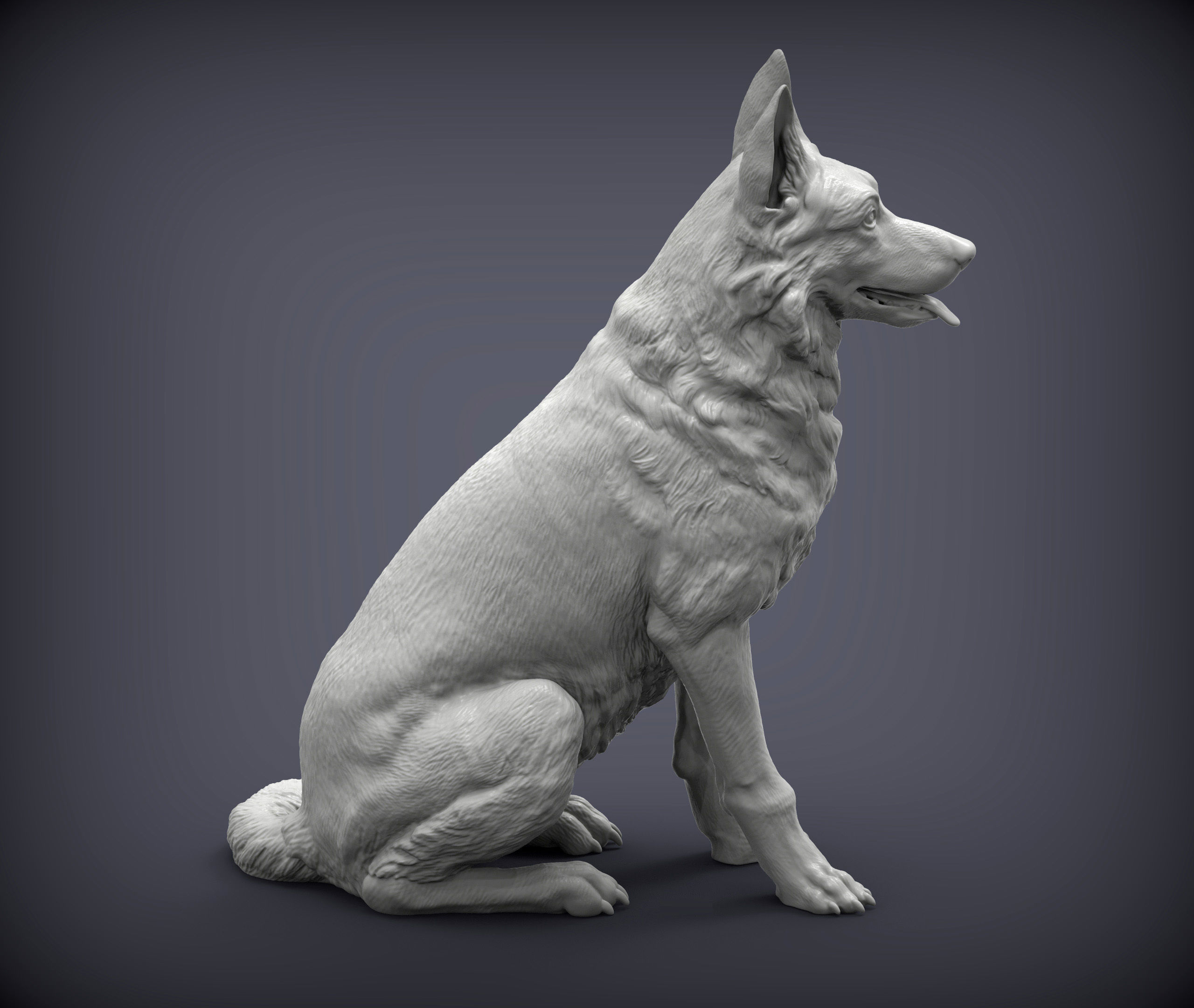 German Shepherd 3D print model_3