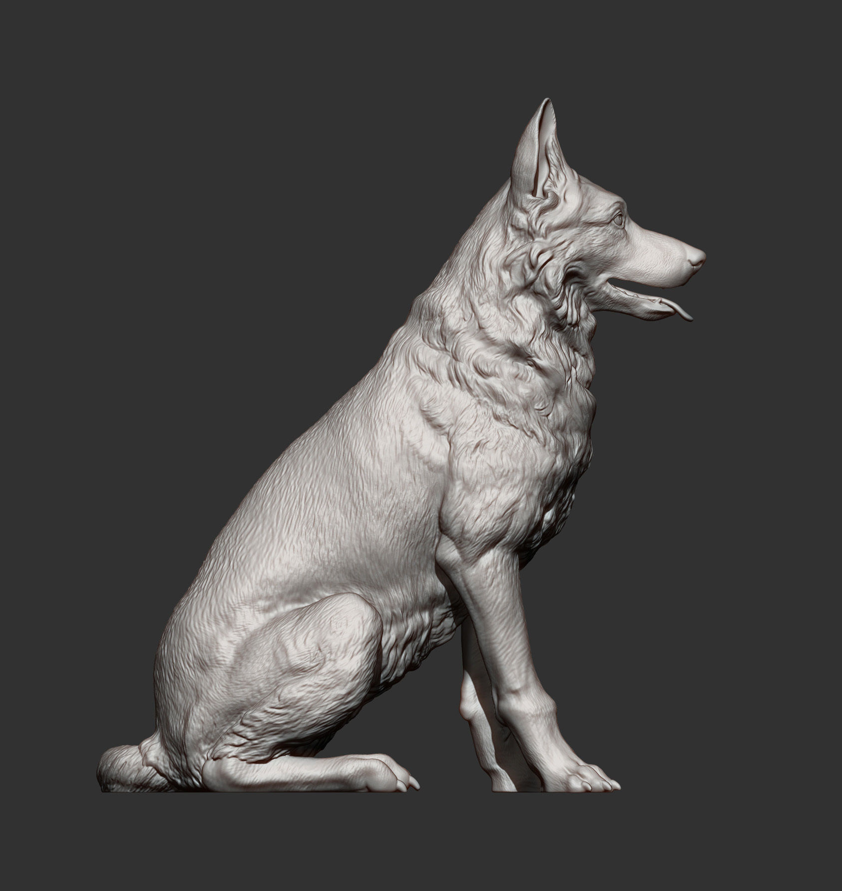 German Shepherd 3D print model_10