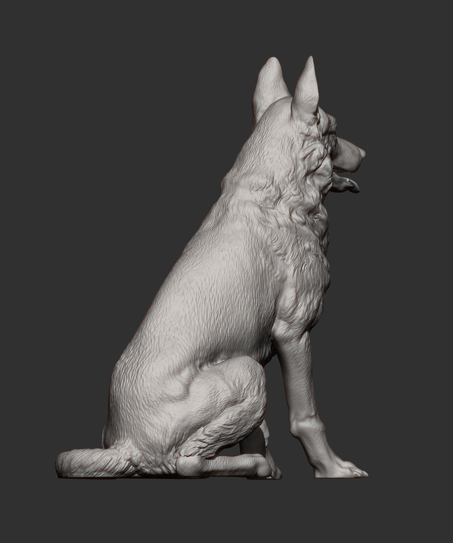 German Shepherd 3D print model_8