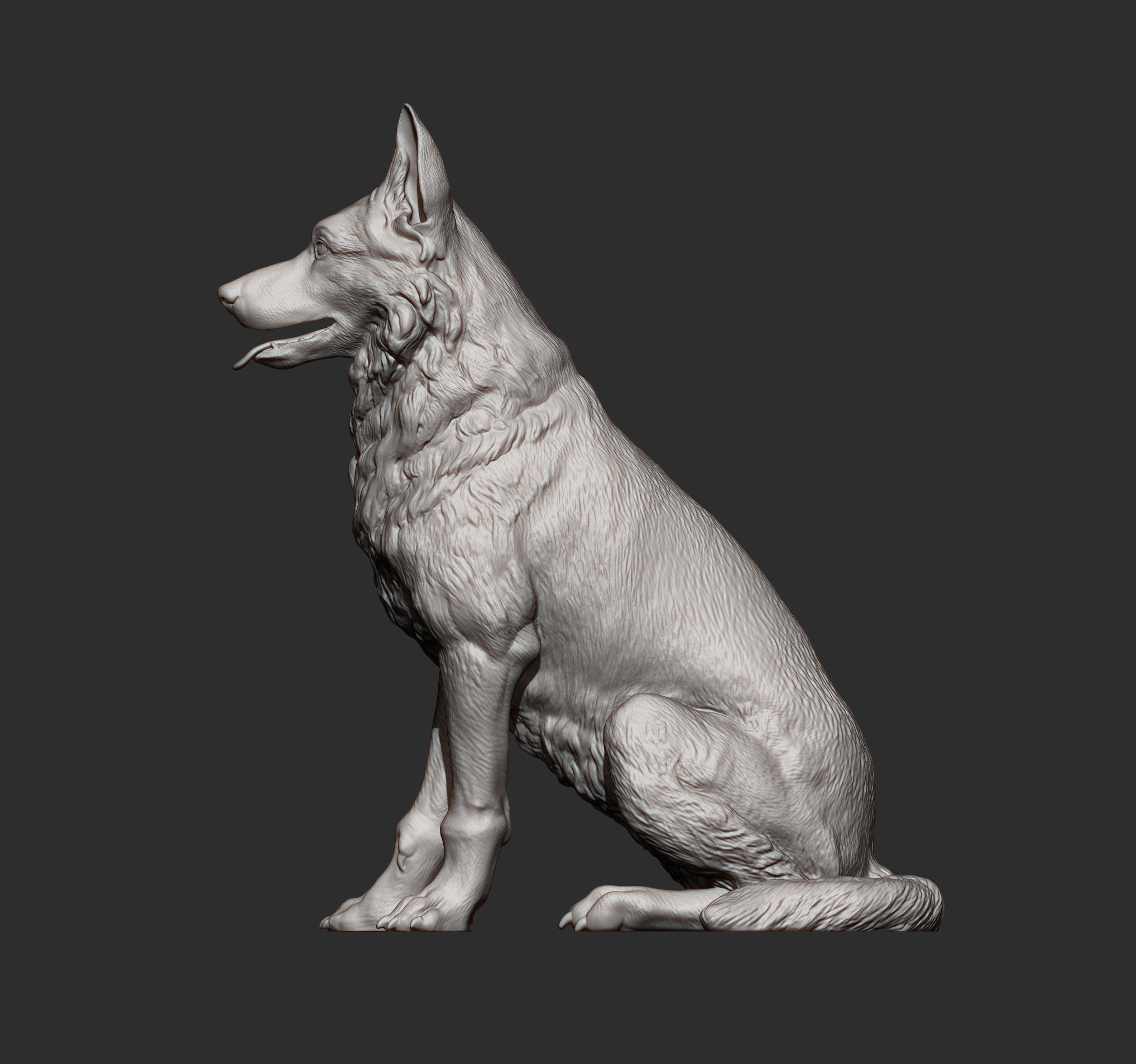 German Shepherd 3D print model_6