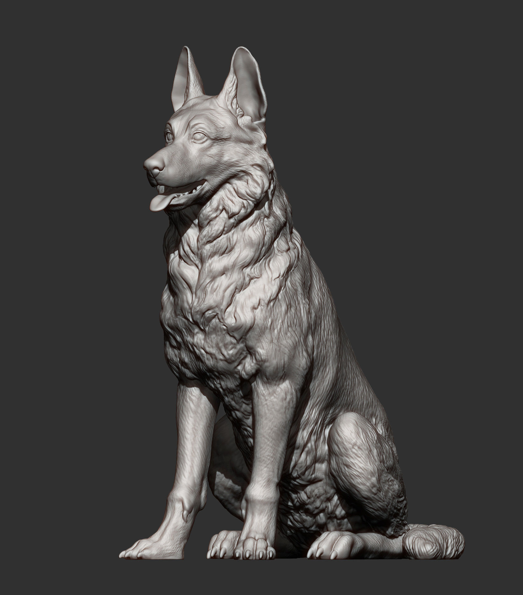German Shepherd 3D print model_7