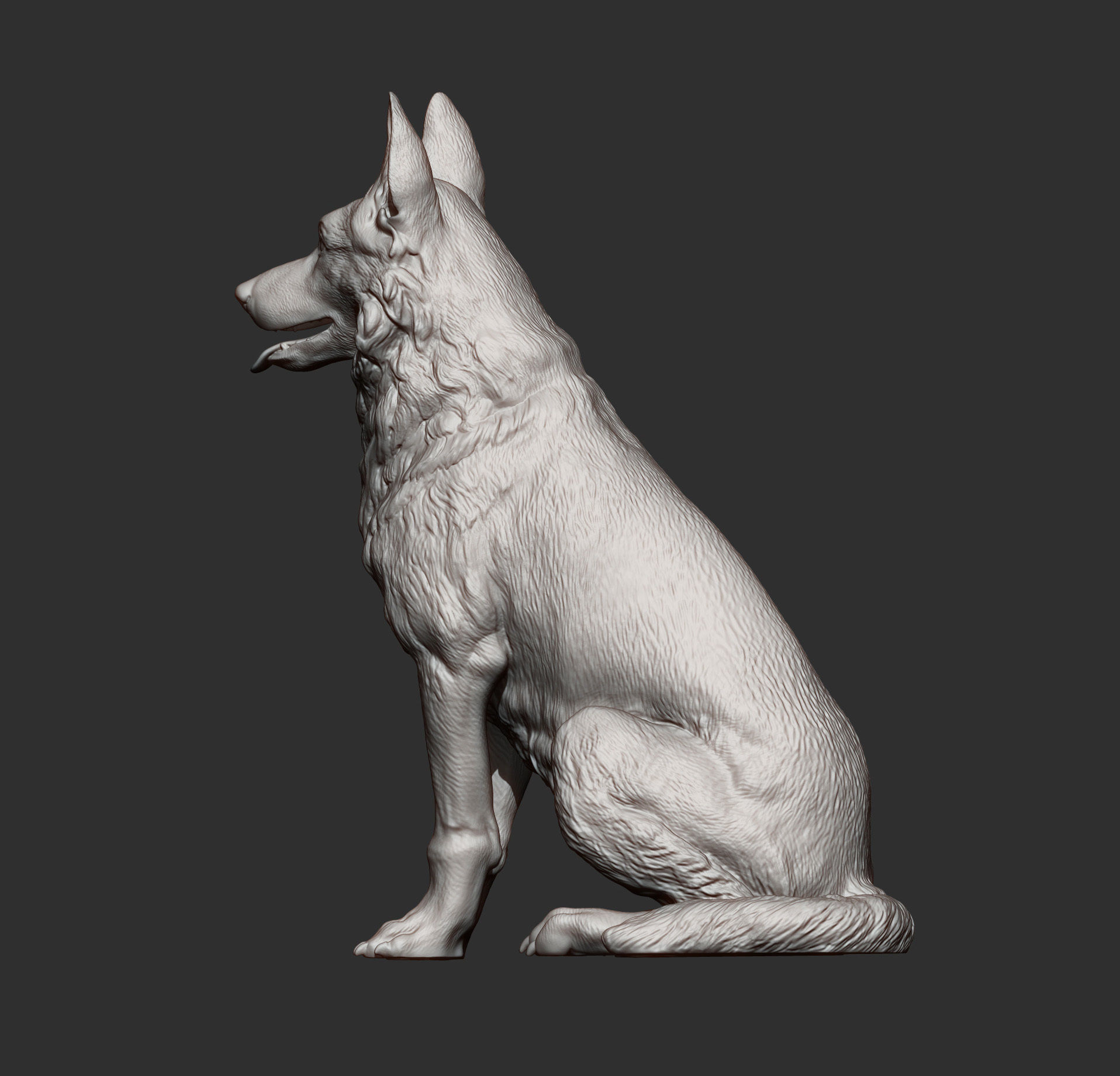 German Shepherd 3D print model_11