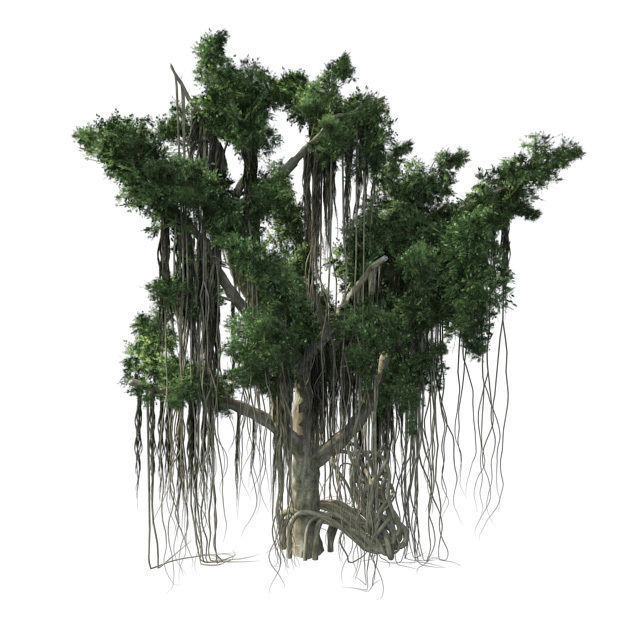 American Sycamore - Chinese Banyan Tree Bundle Low-poly 3D model_5