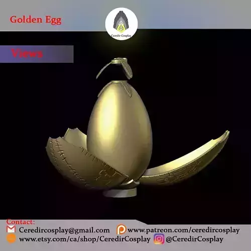 Harry Potter Golden Egg 3d digital download