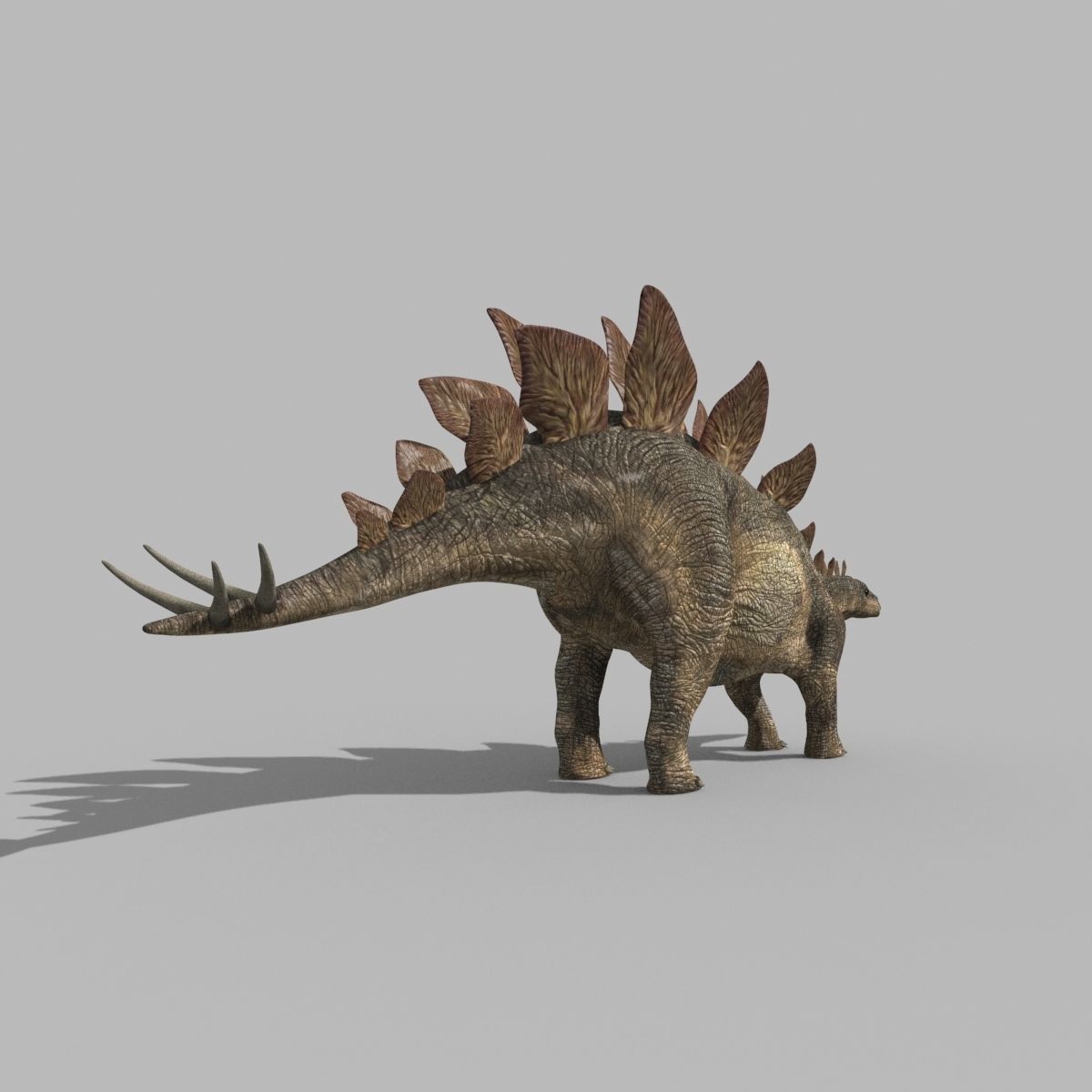 Stegosaur Forever - 8K 3D model_18