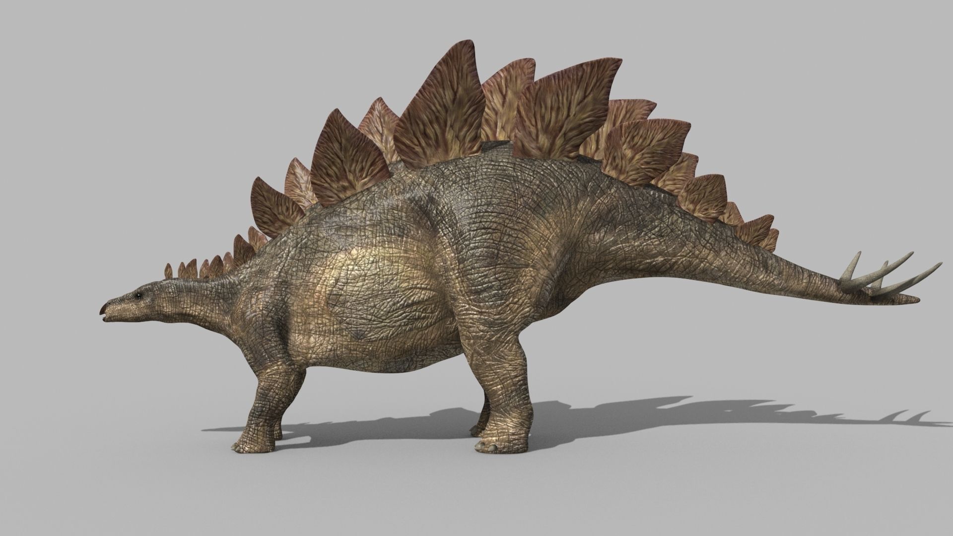 Stegosaur Forever - 8K 3D model_8