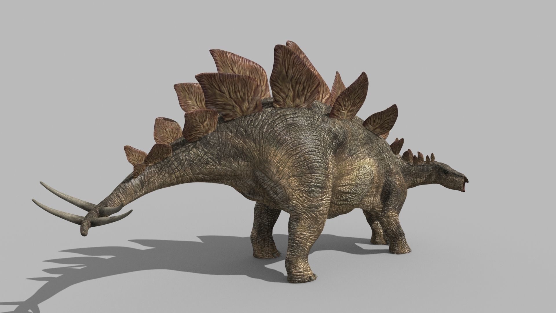 Stegosaur Forever - 8K 3D model_13