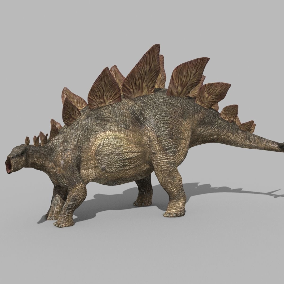 Stegosaur Forever - 8K 3D model_19