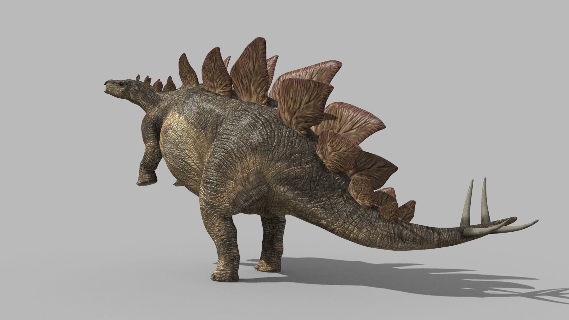 Stegosaur Forever - 8K 3D model_14