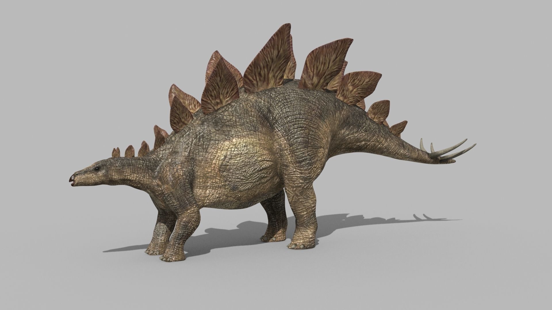 Stegosaur Forever - 8K 3D model_7