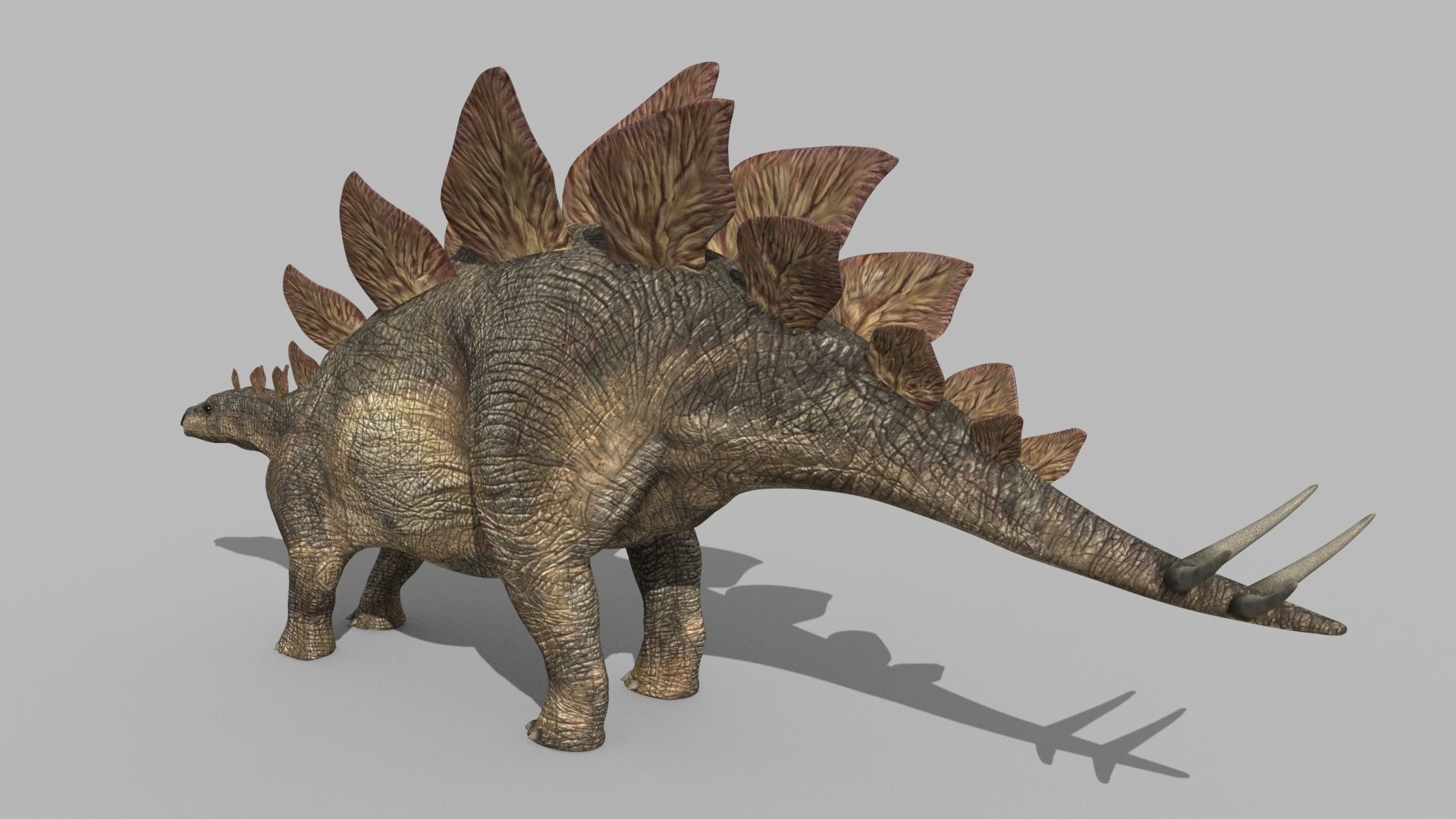 Stegosaur Forever - 8K 3D model_9