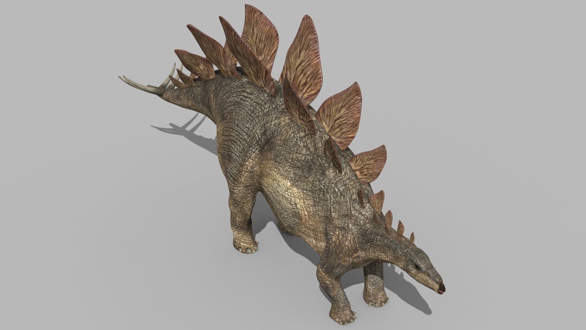 Stegosaur Forever - 8K 3D model_11