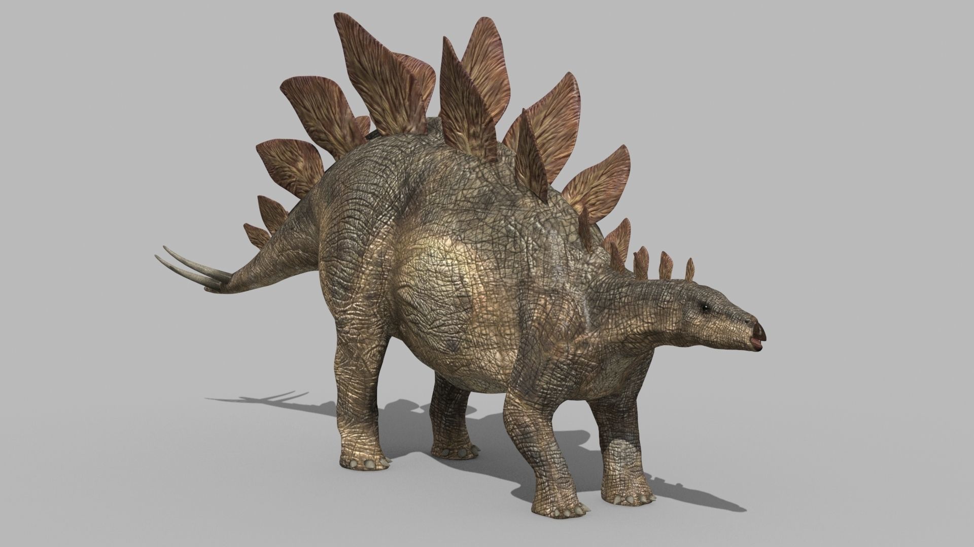 Stegosaur Forever - 8K 3D model_10