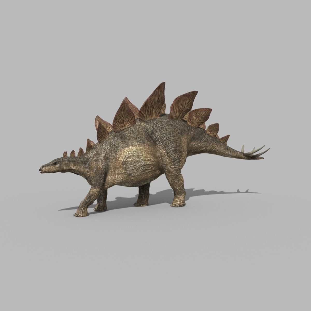 Stegosaur Forever - 8K 3D model_16
