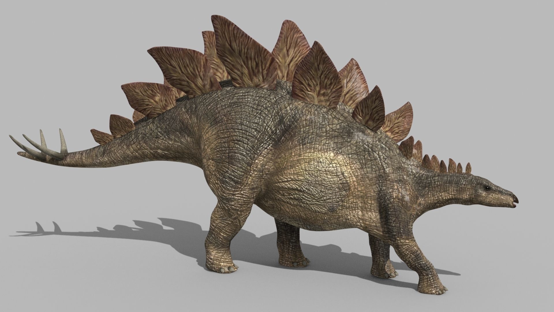 Stegosaur Forever - 8K 3D model_12
