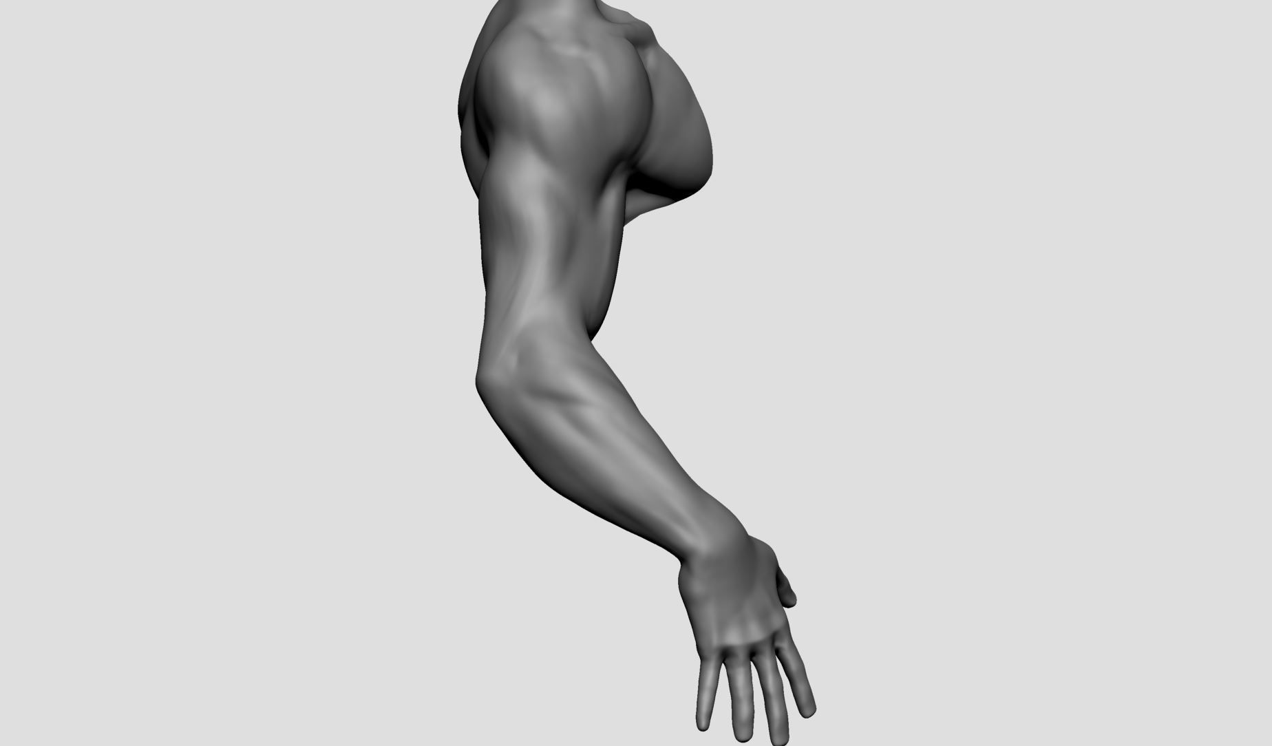 Base Male Arm 3D model_2