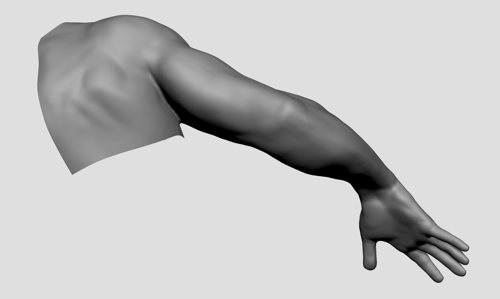 Base Male Arm 3D model_4
