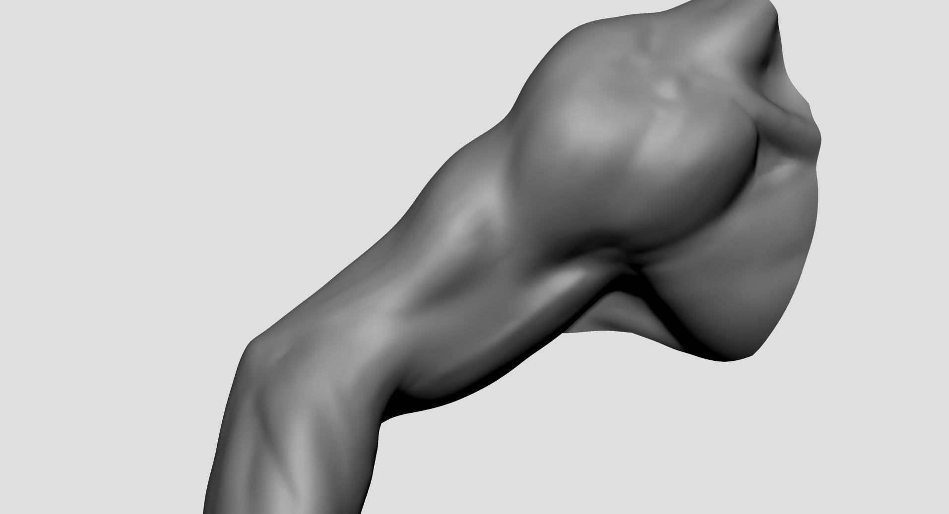 Base Male Arm 3D model_7
