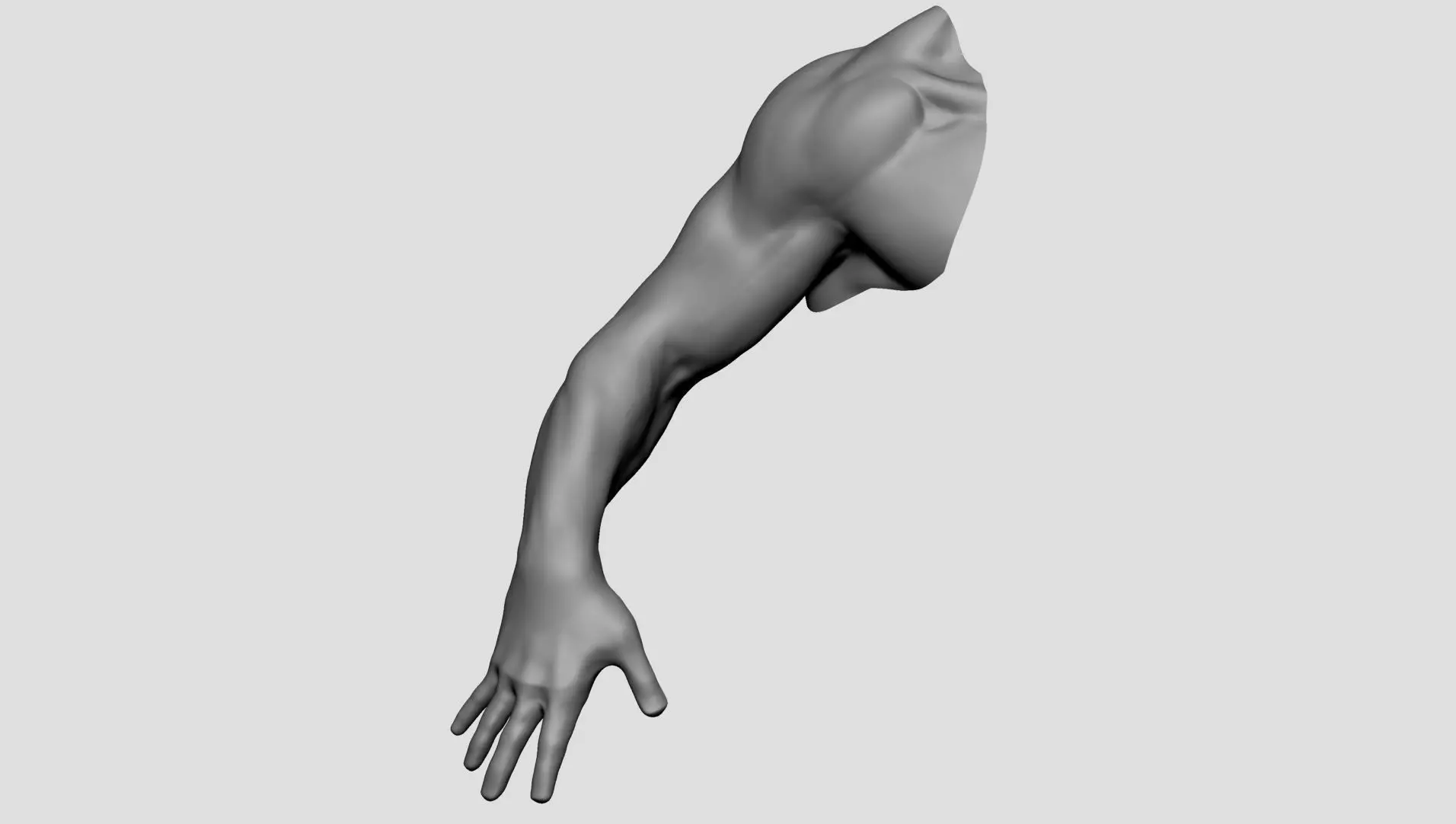 Base Male Arm 3D model_0