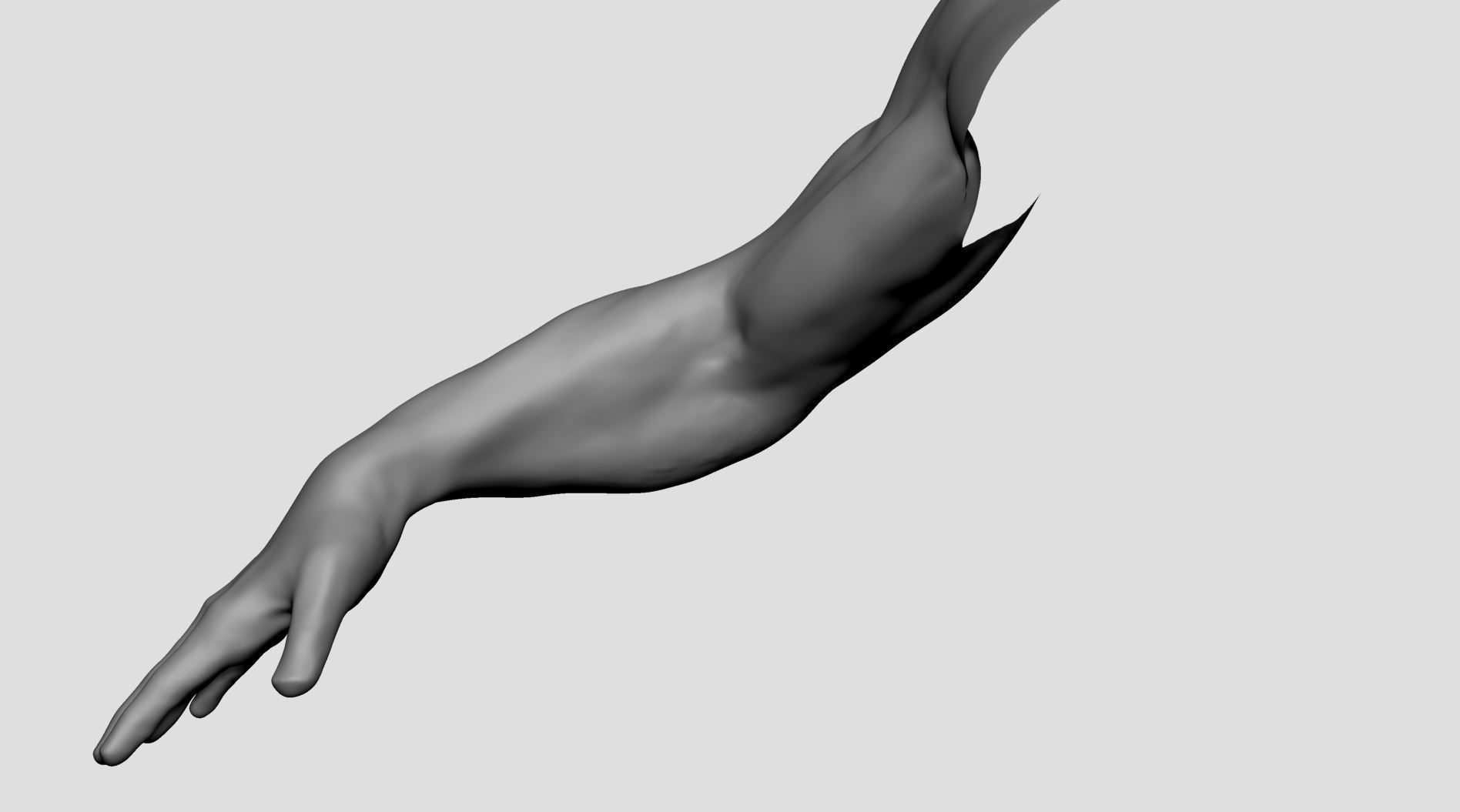 Base Male Arm 3D model_6