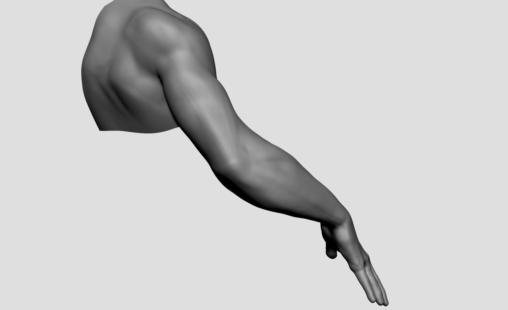 Base Male Arm 3D model_3