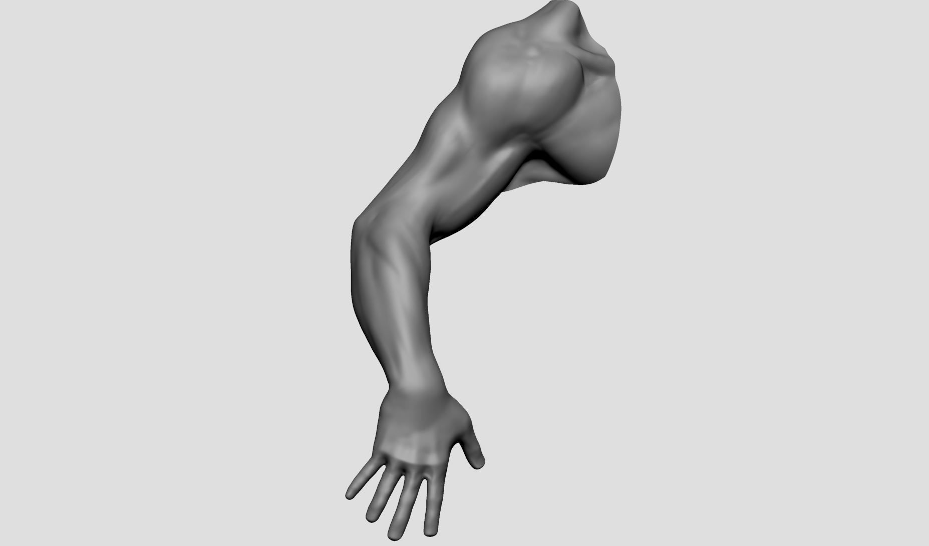 Base Male Arm 3D model_1