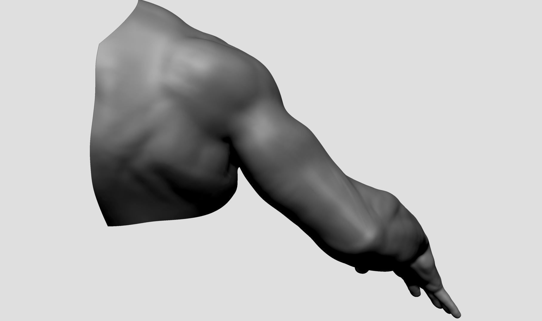 Base Male Arm 3D model_5