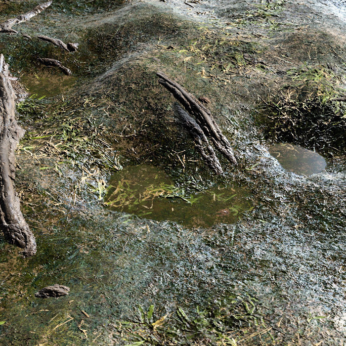 Rugged green ground-Stone ground Texture_4