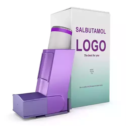 Asthma Inhaler 3D model