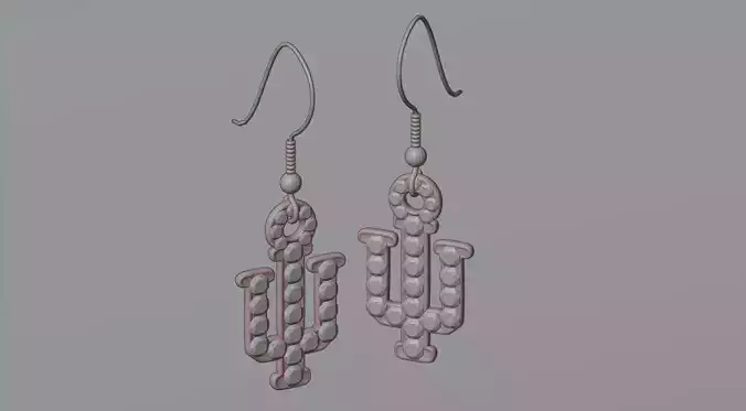 Earrings 21