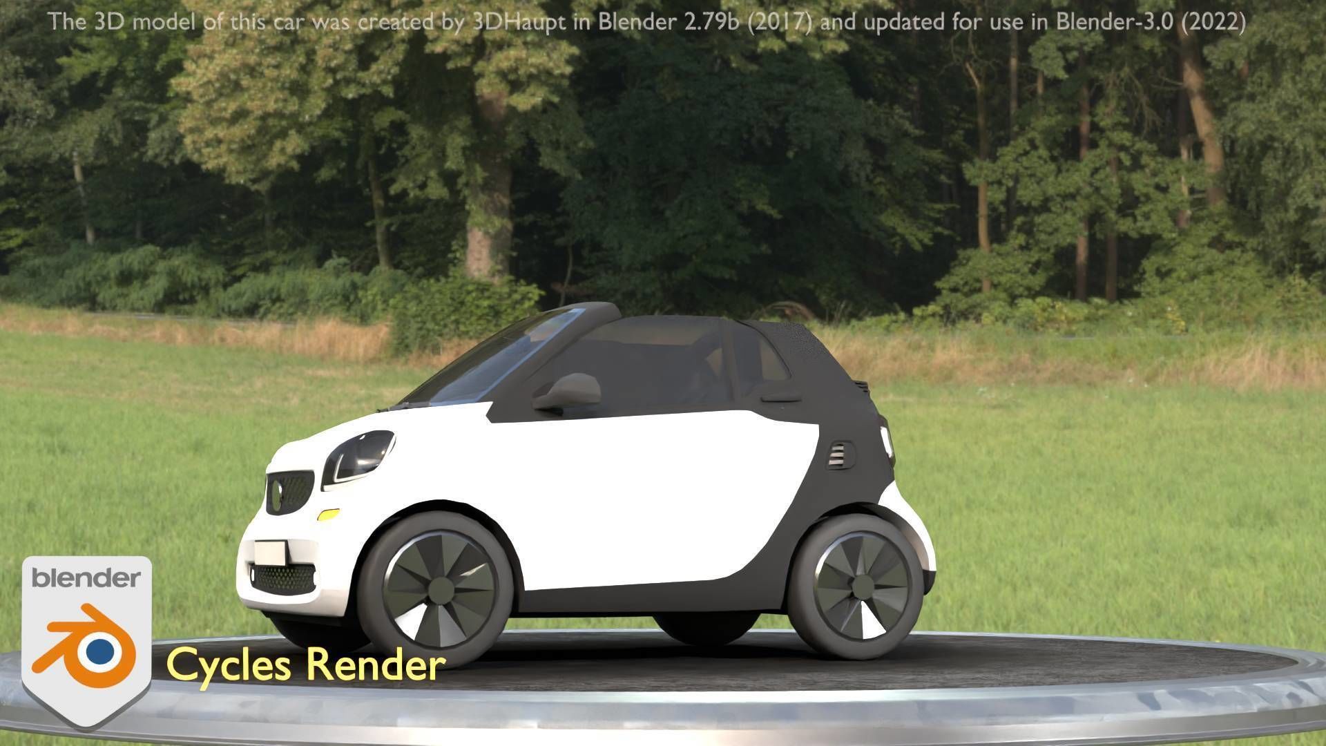 City Cars All Types A B C D E White 3D Model Collection_107