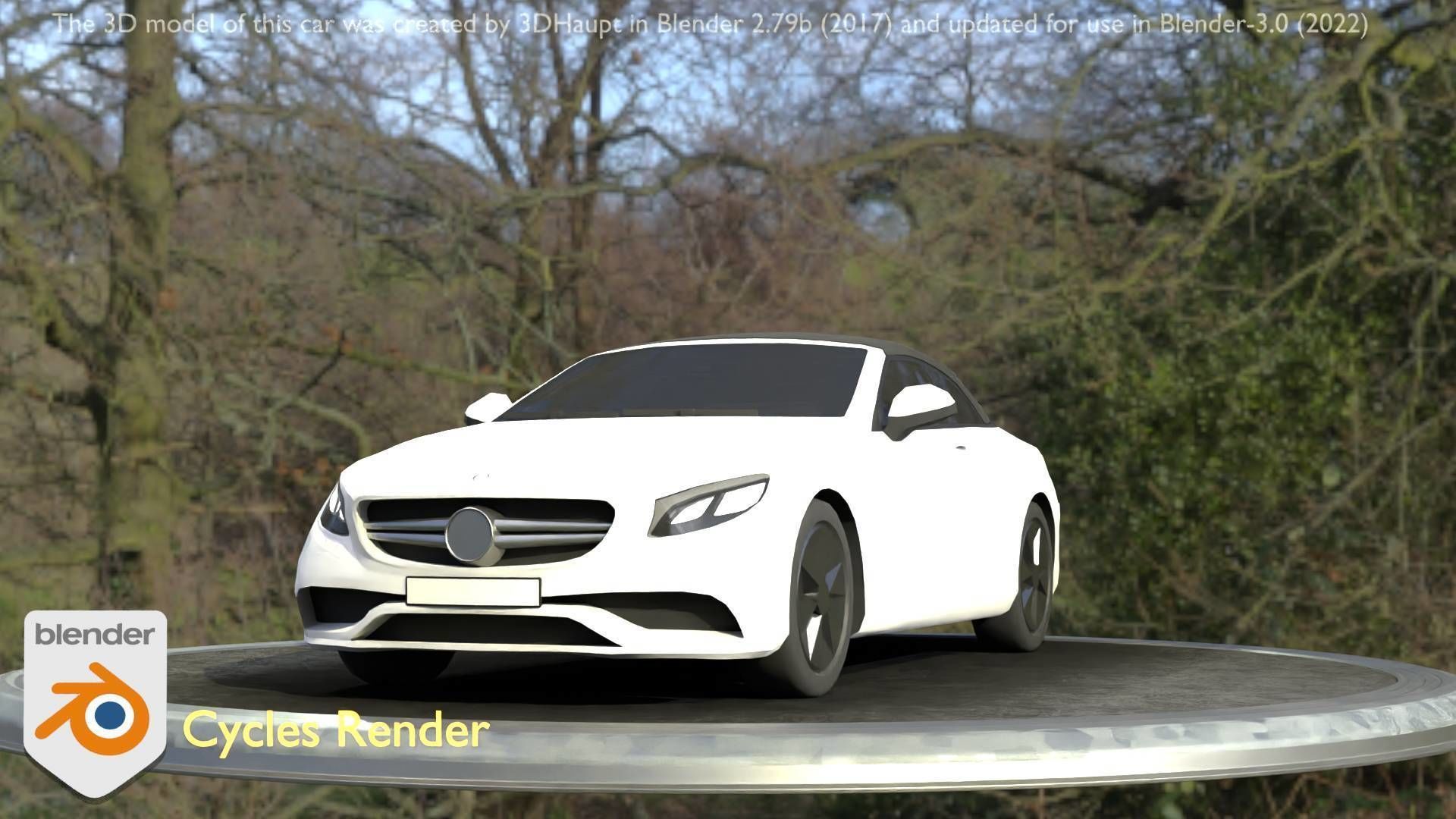 City Cars All Types A B C D E White 3D Model Collection_95