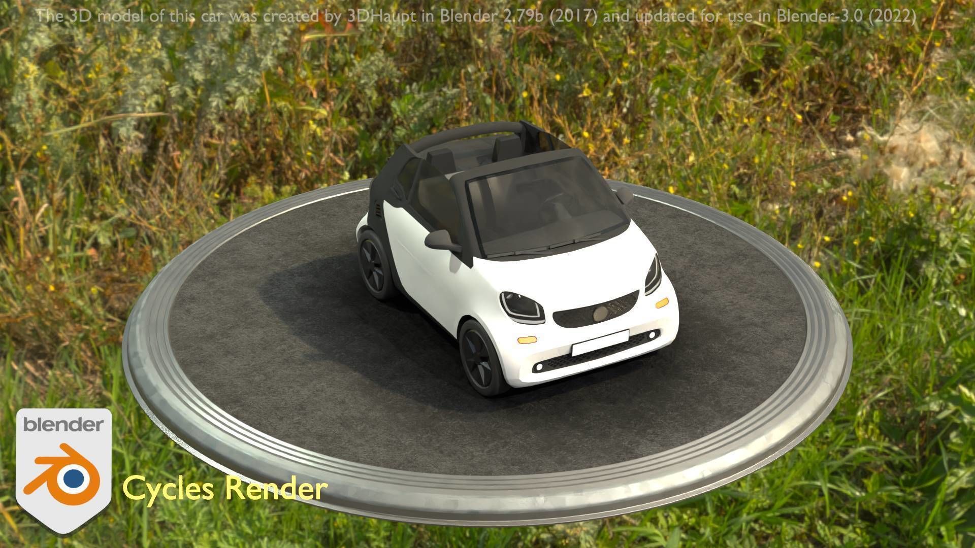 City Cars All Types A B C D E White 3D Model Collection_113