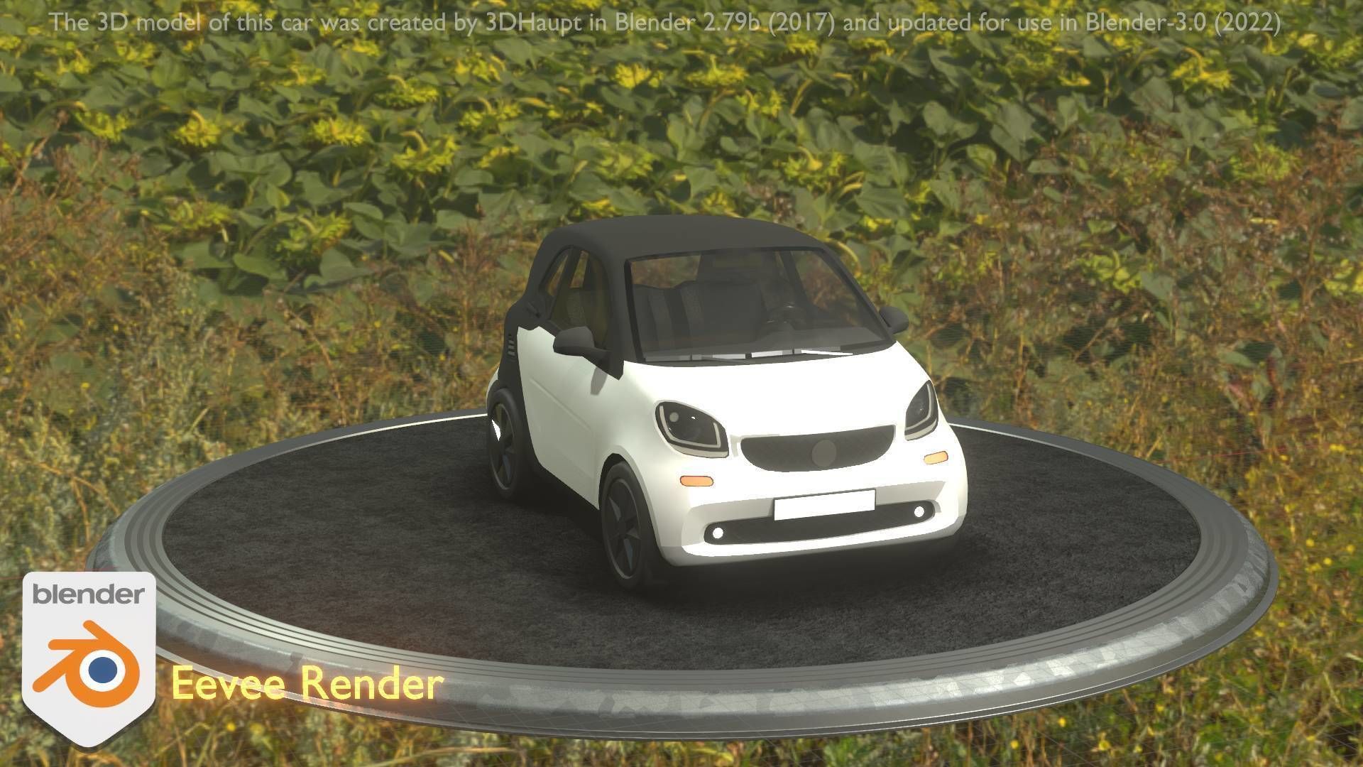 City Cars All Types A B C D E White 3D Model Collection_125