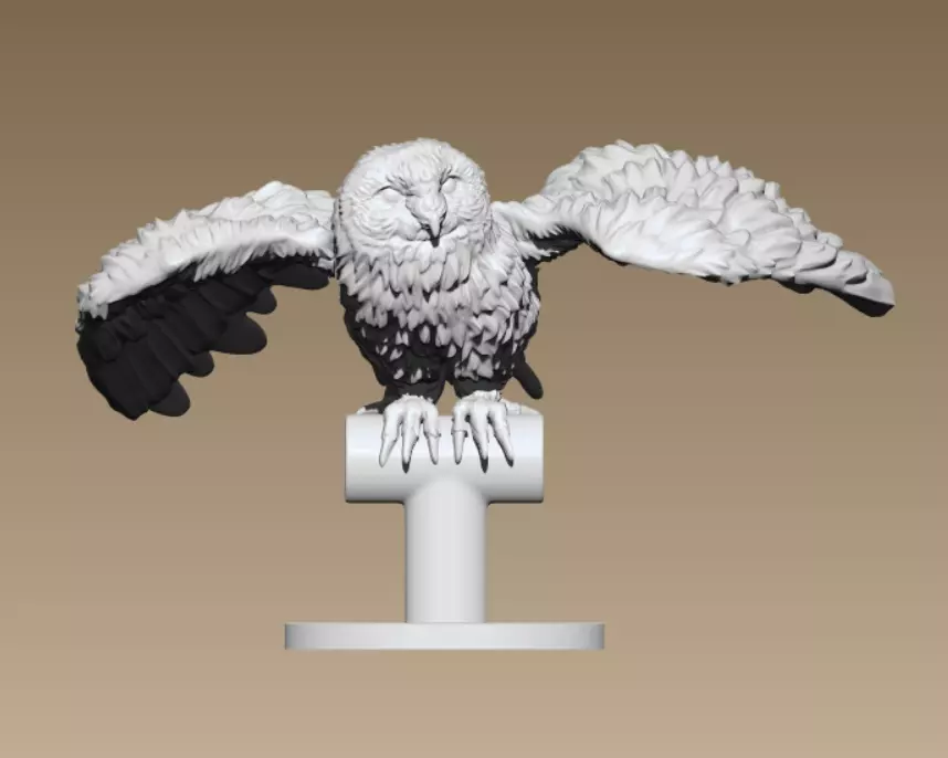 Barn Owl  3D print model_0