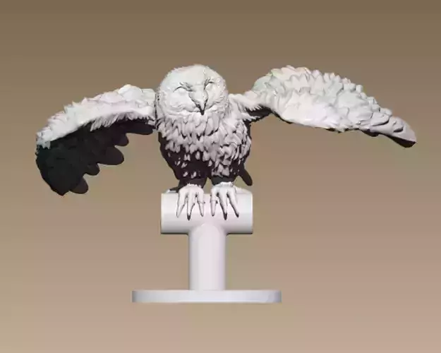 Barn Owl  3D print model