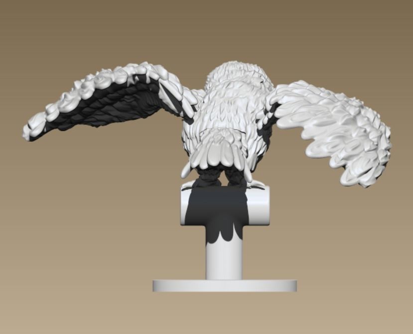 Barn Owl  3D print model_3