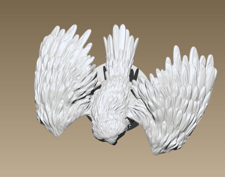 Barn Owl  3D print model_5