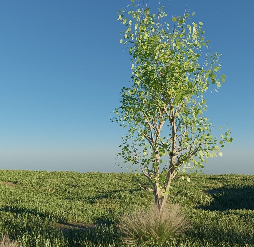 MOUNTAIN HOUSE WITH REALISTIC GRASS Low-poly 3D model_20